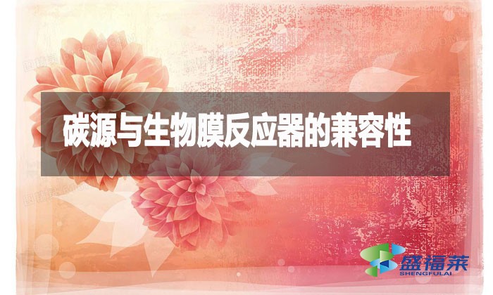 碳源与生物膜反应器的兼容性